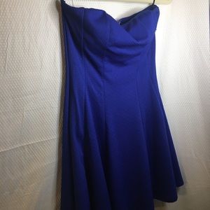 Body Central | Women’s Cobalt Blue Halter Top Blouse